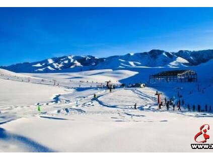 你是不是缺了一架通天梯？