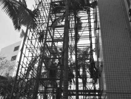 借國(guó)家級(jí)電梯產(chǎn)業(yè)基地優(yōu)勢(shì) 廣東中山市打造舊樓加裝電梯示范市