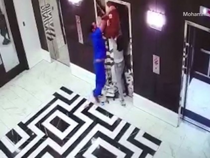 路過醫(yī)生反應迅速，救下牽繩被電梯夾住的小狗