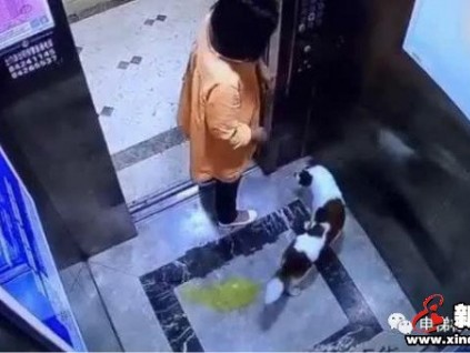 這條關(guān)于你的乘梯新規(guī)一定要讀！不良＂嗜好＂罰款2000！