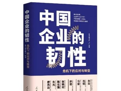 《中國企業(yè)的韌性》正式出版 康力電梯案例壓軸入選