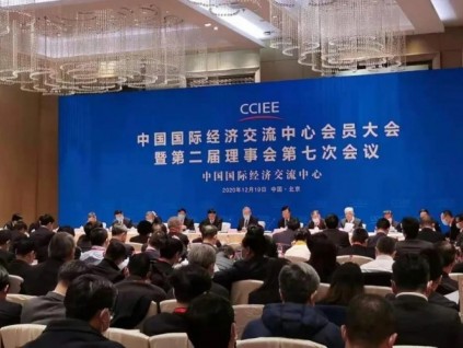 康力電梯董事長王友林榮任中國國際經(jīng)濟交流中心理事