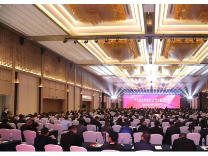 順應發(fā)展新格局 實現(xiàn)共贏創(chuàng)未來--2021康力電梯全球合作伙伴大會成功召開