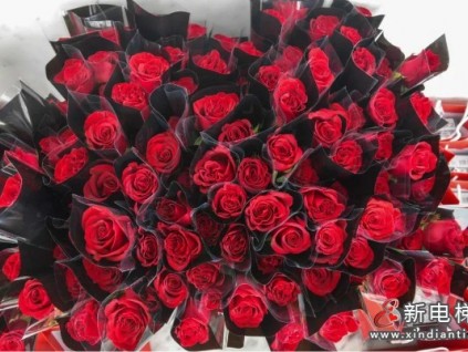 新電梯早新聞 3月3日，星期三，農(nóng)歷正月二十