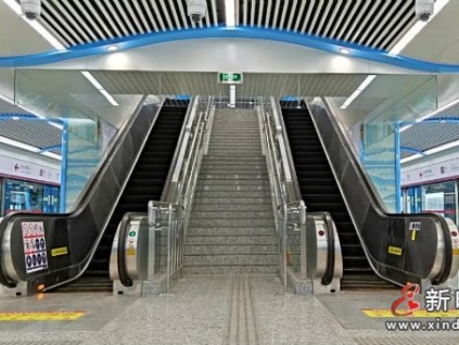 這大概是迎接蘇軌5號線通車最具儀式感的方式