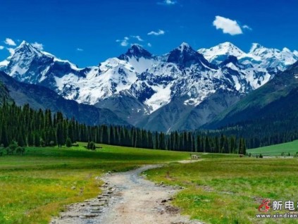 大美新疆，萊茵在這里等你！