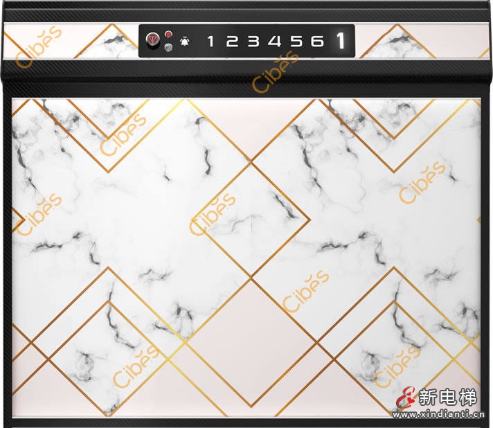 水墨碧璽背景墻定制家用電梯