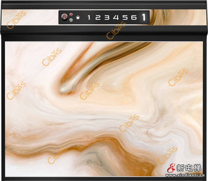 焦褐瑪瑙背景墻定制家用電梯