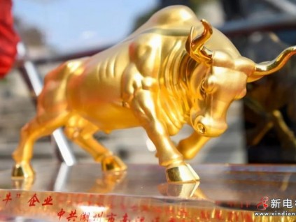 賡續(xù)初心 奮楫新程|森赫電梯連續(xù)九年捧回“金牛大獎(jiǎng)”