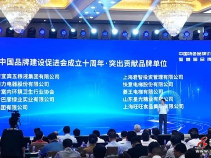 菱王電梯榮獲“突出貢獻(xiàn)品牌單位”榮譽(yù)，實(shí)力助推中國(guó)品牌建設(shè)