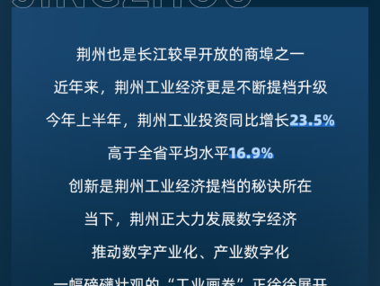 更穩(wěn)的守護(hù)｜省級重點(diǎn)項(xiàng)目，用菱王！