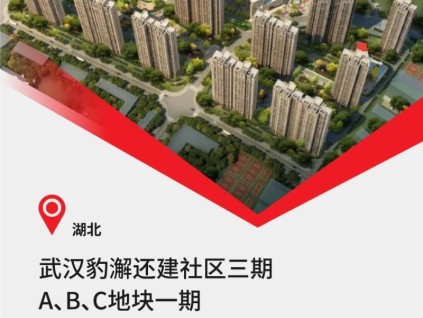 中建三局&40臺(tái)康力電梯，武漢重大民生工程！