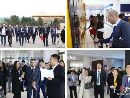 【媒體看遠大】沈陽遠大帶頭“抱團出?！?，推動裝備制造“走出去”！