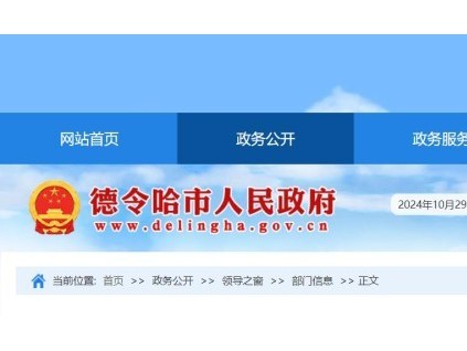 青海某德令哈市一公司電梯維?，F(xiàn)場(chǎng)工作人員少于兩人，被罰15000元