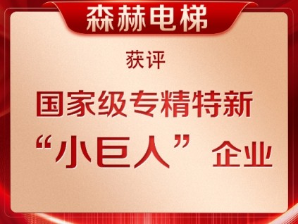 榮耀加冕丨森赫電梯獲評(píng)第六批專(zhuān)精特新“小巨人”企業(yè)稱(chēng)號(hào)