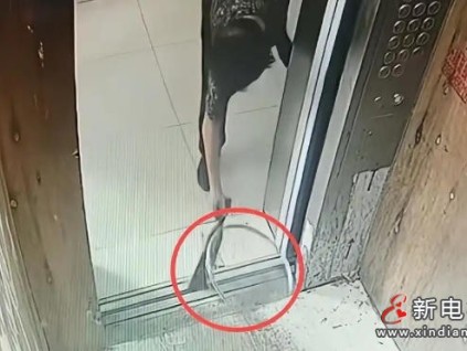 浙江老太"柴刀擋電梯"事件：一個糊涂決定引發(fā)的連鎖災難