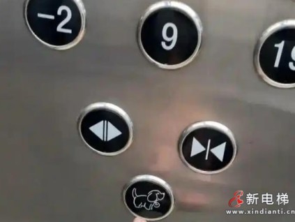 沈陽一小區(qū)電梯增設(shè)小狗按鈕，人性化設(shè)計(jì)化解鄰里矛盾